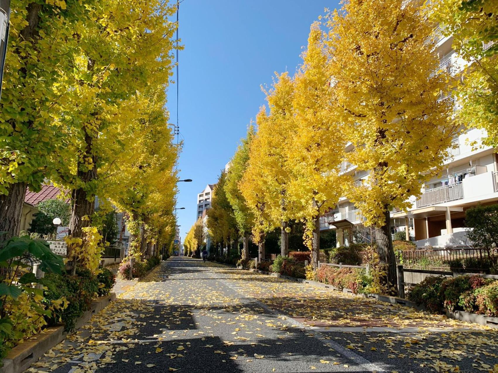 Rosenheim Tokyo Shinjuku 東京都 外观 照片